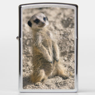Sentry-in-Training Lighter