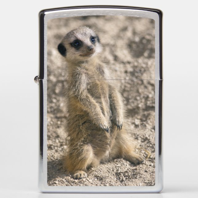 Sentry-in-Training Lighter (Front)