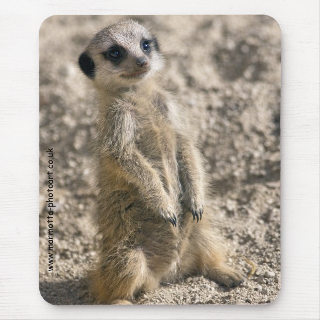 Sentry in Training Mousemat Mouse Pad (Front)