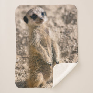 Sentry-in-Training Sherpa Blanket