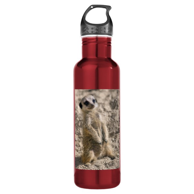 Sentry-in-Training Water Bottle (Front)