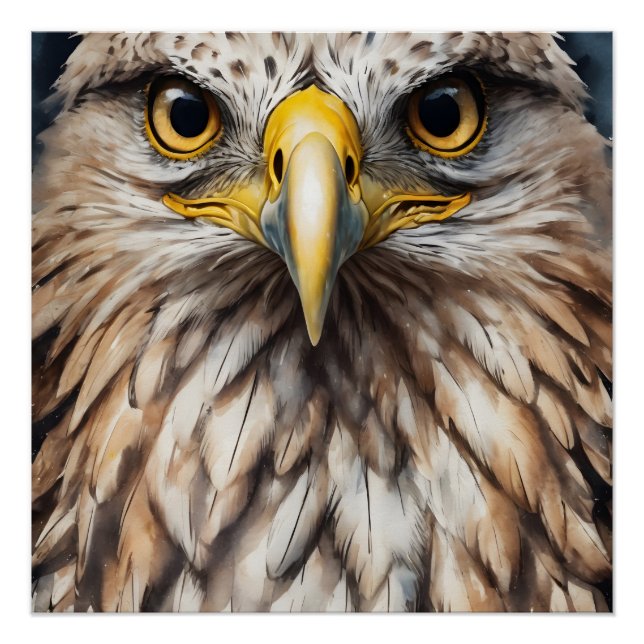 Sentry the Hawk Close-Up Art Poster (Front)