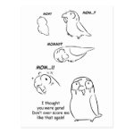 Separation Anxiety on Pet Birds Postcard