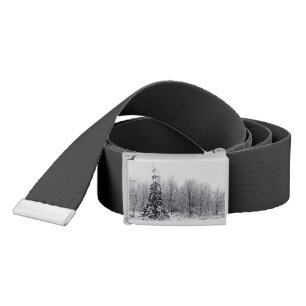 separation with certainty belt