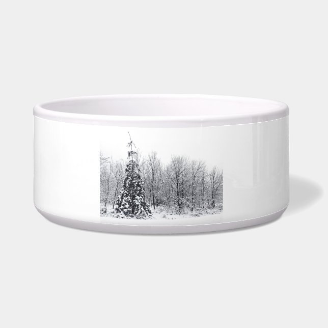 separation with certainty bowl (Front)