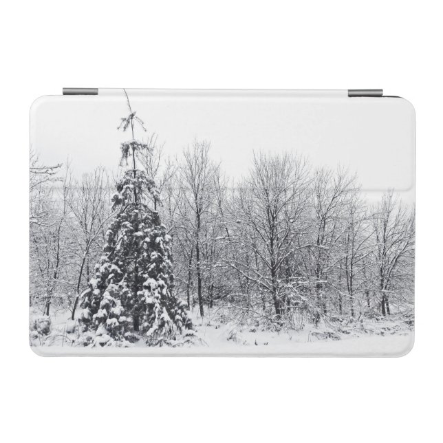 separation with certainty iPad mini cover (Horizontal)