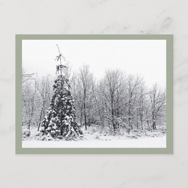 separation with certainty postcard (Front)