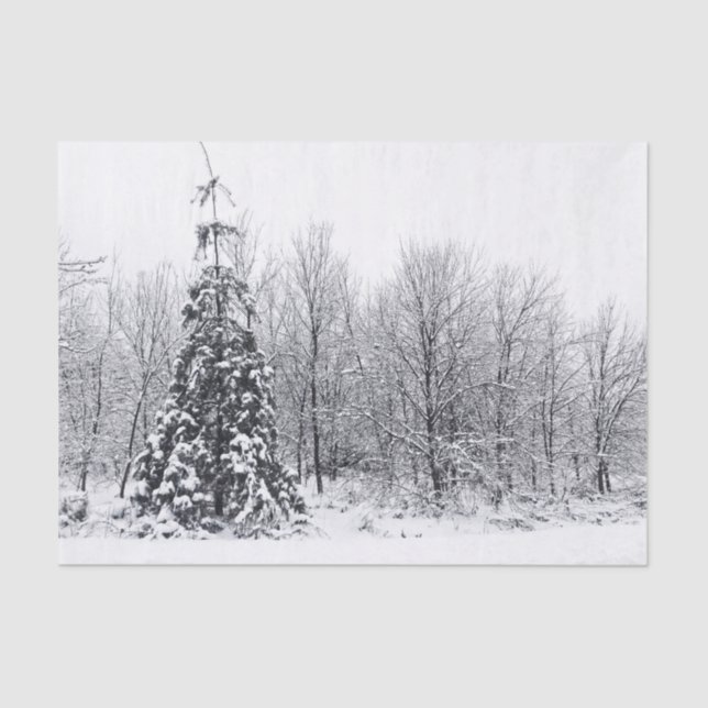 separation with certainty tissue paper (Front)