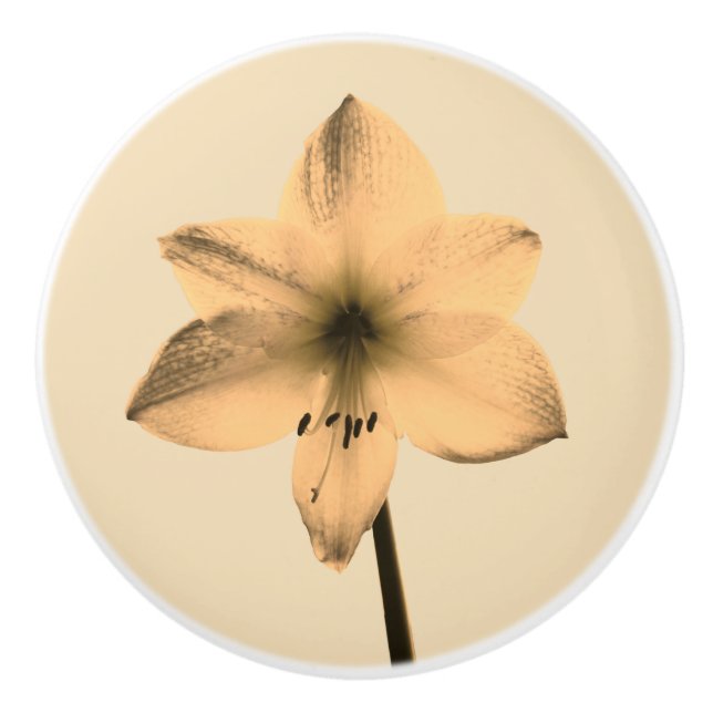 Sepia amaryllis ceramic knob (Front)