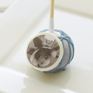 Sepia Aquilegia Flower Cake Pops
