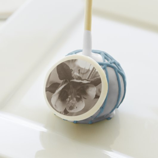 Sepia Aquilegia Flower Cake Pops (Front Insitu)