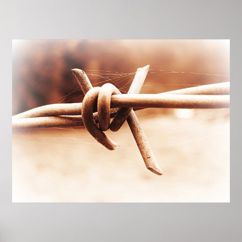 Sepia Barbwire Close up Photographic Poster