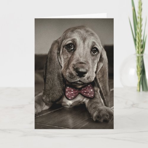 Sepia Basset Hound Puppy Happy Valentines Day Holiday Card