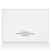 Sepia Begonia 2 (Inside Horizontal (Top))