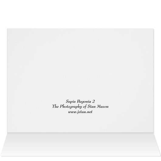 Sepia Begonia 2 (Inside Horizontal (Top))