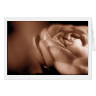 Sepia Begonia 2 Cards
