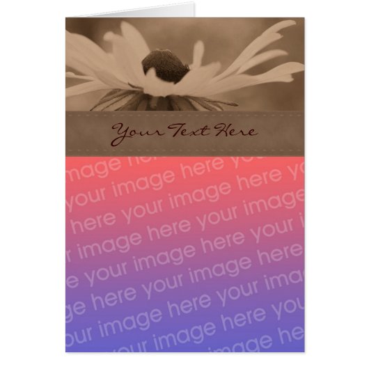 Sepia Black Eyed Susan Flower Photo Card (Front)