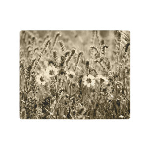 Sepia Botany Photograph Metal Print