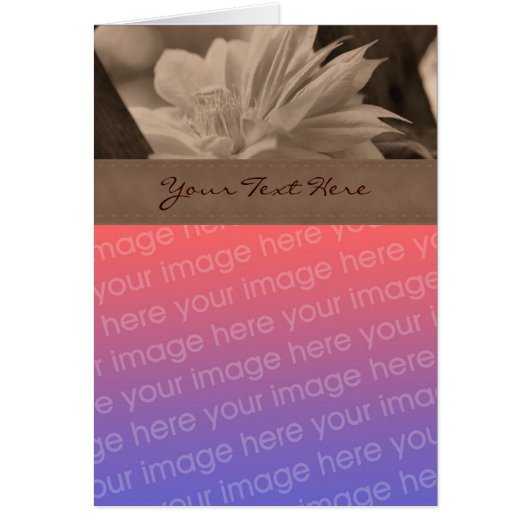 Sepia Clematis Flower Photo Card (Front)