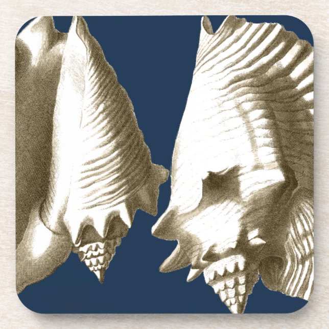 Sepia Conch Seashells Beverage Coaster (Front)