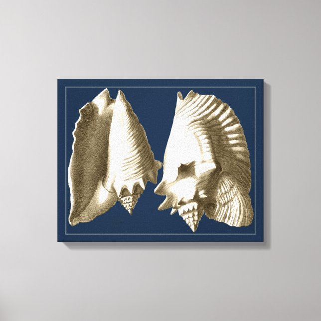 Sepia Conch Seashells Canvas Print (Front)