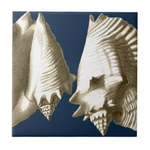 Sepia Conch Seashells Ceramic Tile