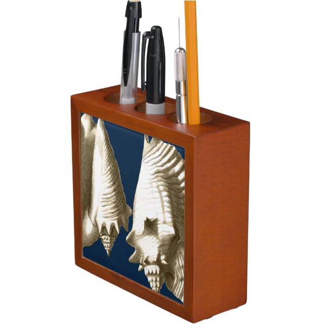 Sepia Conch Seashells Desk Organizer (In Situ)