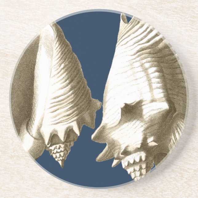 Sepia Conch Seashells Drink Coaster (Front)