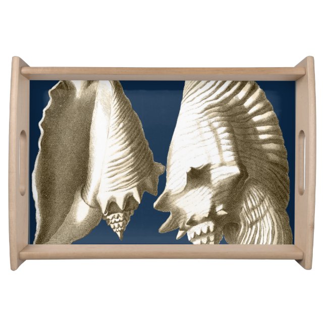 Sepia Conch Seashells Serving Tray (Front)