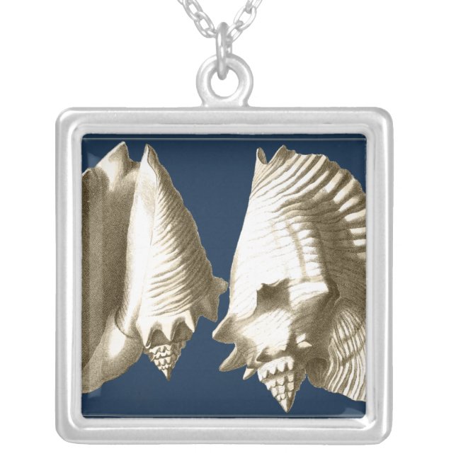 Sepia Conch Seashells Silver Plated Necklace (Front)