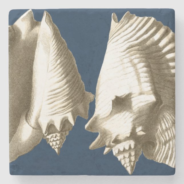 Sepia Conch Seashells Stone Coaster (Front)