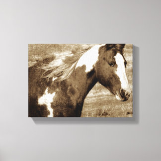 Sepia Flashy Mare Canvas Print
