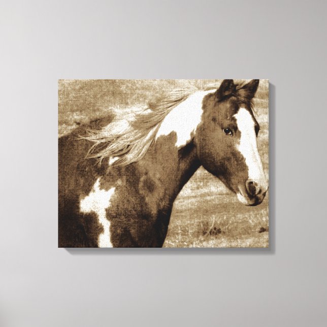 Sepia Flashy Mare Canvas Print (Front)