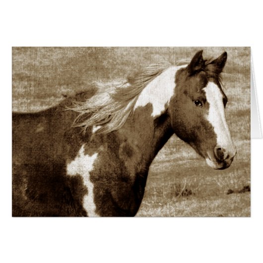 Sepia Flashy Mare Cards (Front Horizontal)