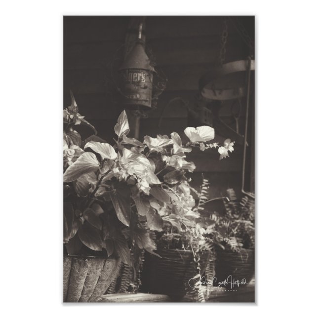 Sepia Floral Photo Print (Front)