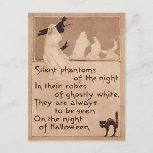 Sepia Ghost Witch Black Cat Crescent Moon Postcard