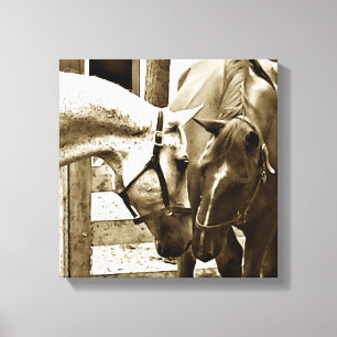 Sepia Image of Two Horses Up-Close Canvas Print