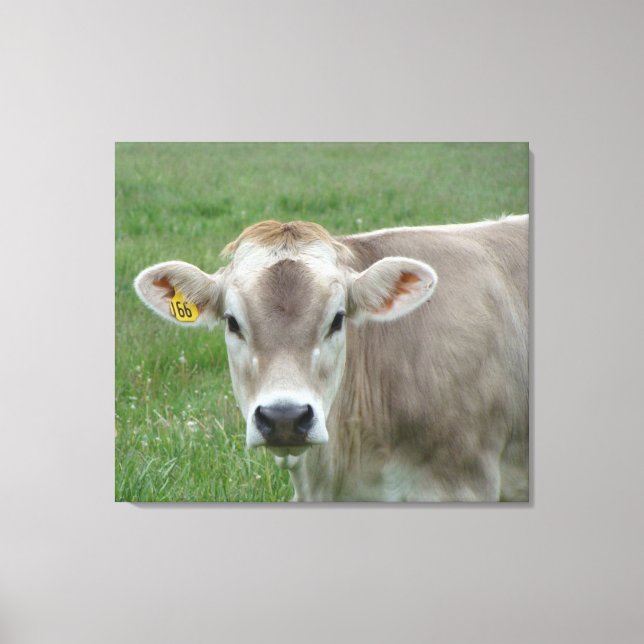 Sepia Jersey Cow Portrait Canvas Print (Front)