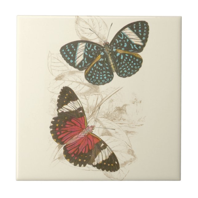 Sepia Leaves with Colorful Butterflies Ceramic Tile (Front)