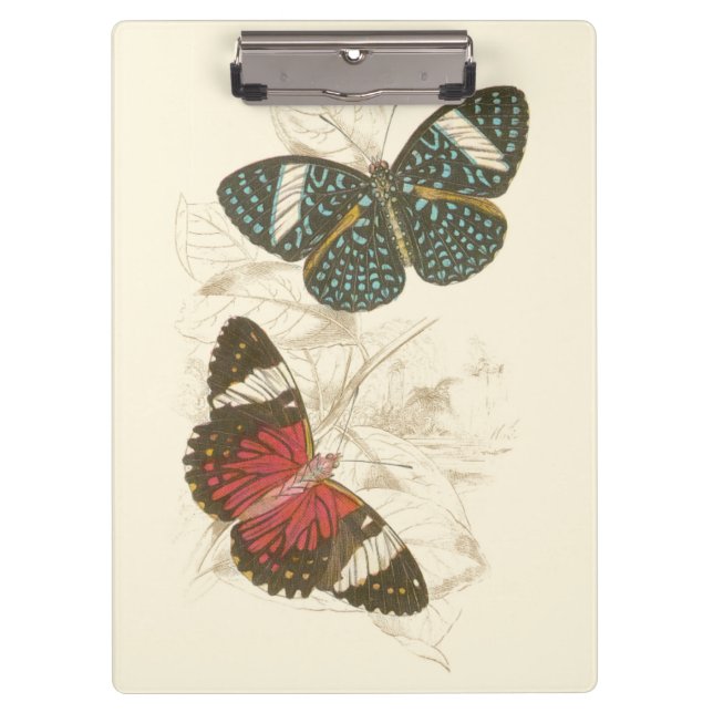Sepia Leaves with Colorful Butterflies Clipboard (Front)