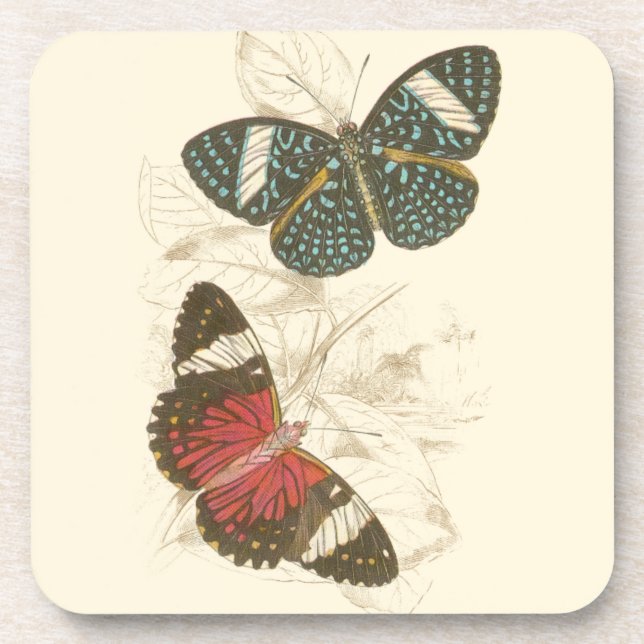Sepia Leaves with Colorful Butterflies Coaster (Front)