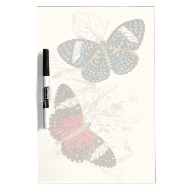 Sepia Leaves with Colorful Butterflies Dry-Erase Board (Front)