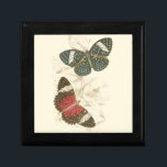Sepia Leaves with Colorful Butterflies Keepsake Box<br><div class="desc">The wings of these colorful butterflies stand out wonderfully against the sepia tones of the hand drawn leaves in this piece. The captivating beauty of this print would look amazing in your home. Buy a copy today!</div>