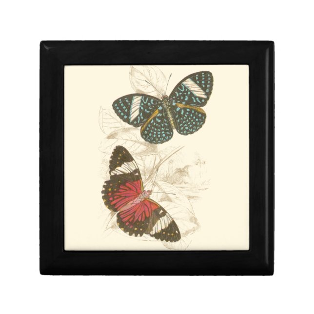 Sepia Leaves with Colorful Butterflies Keepsake Box (Front)