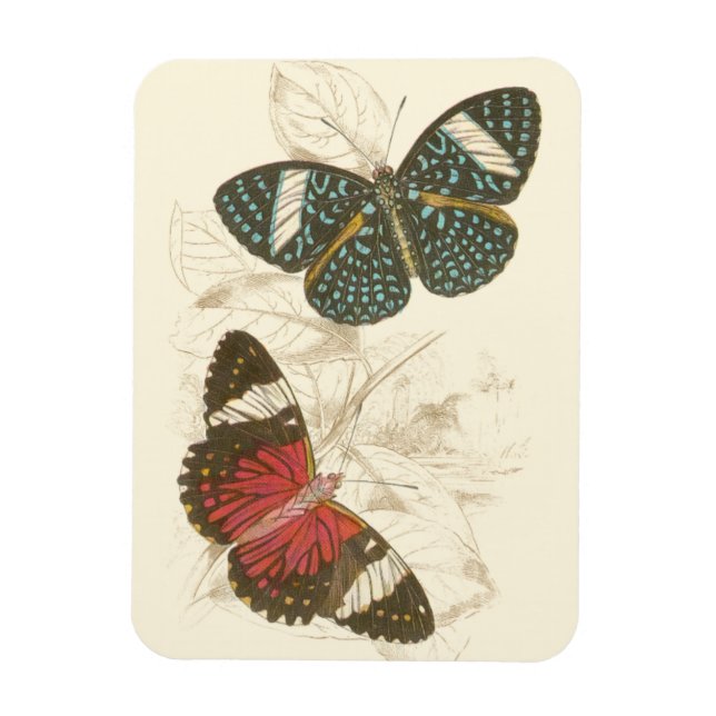 Sepia Leaves with Colorful Butterflies Magnet (Vertical)