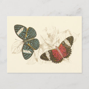 Sepia Leaves with Colorful Butterflies Postcard