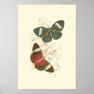 Sepia Leaves with Colorful Butterflies Poster