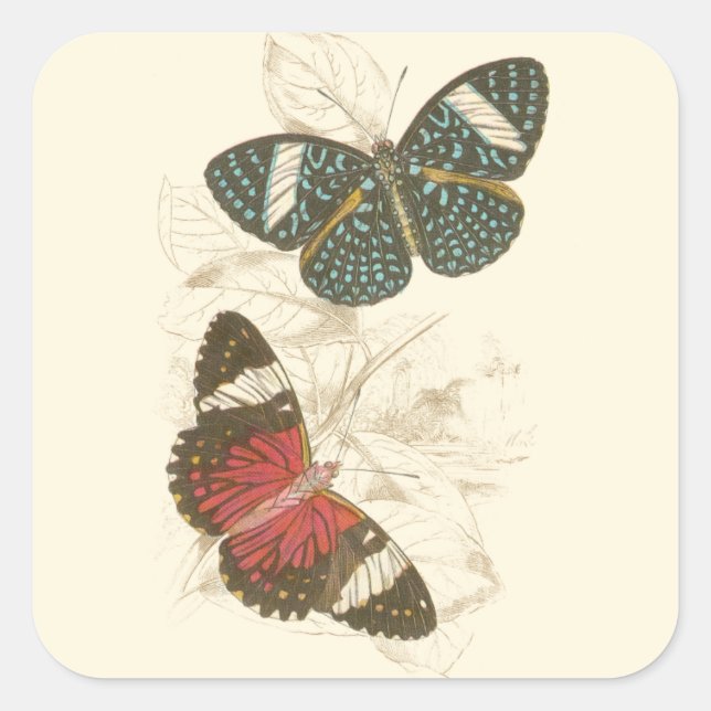 Sepia Leaves with Colorful Butterflies Square Sticker (Front)