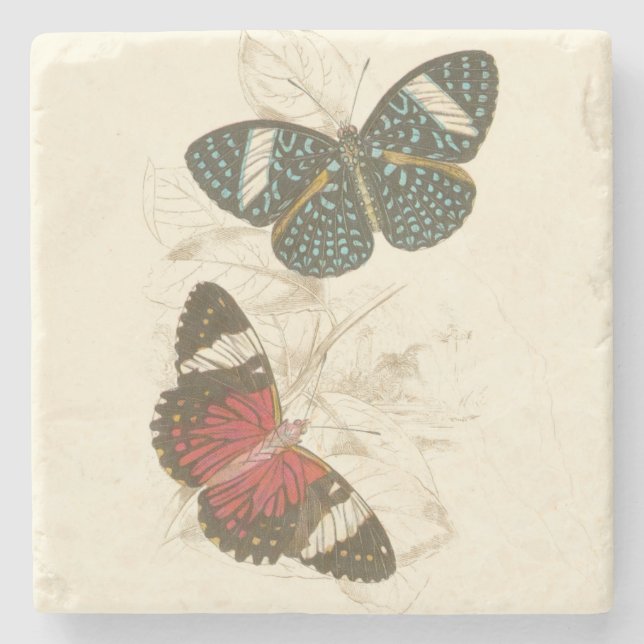 Sepia Leaves with Colorful Butterflies Stone Coaster (Front)