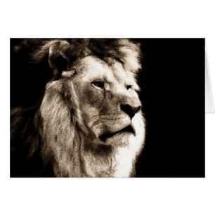 Sepia Lion Cards